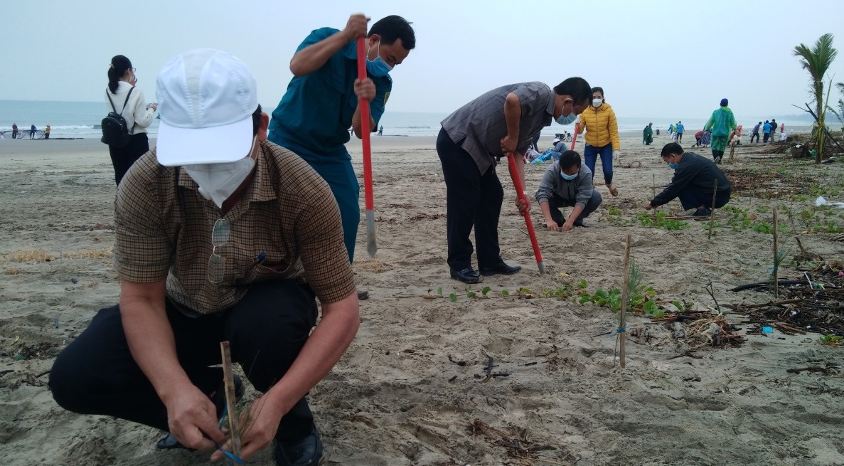 Liên Đoàn lao động thành phố ra quân trồng cây xanh tại bãi biển Mỹ Khê