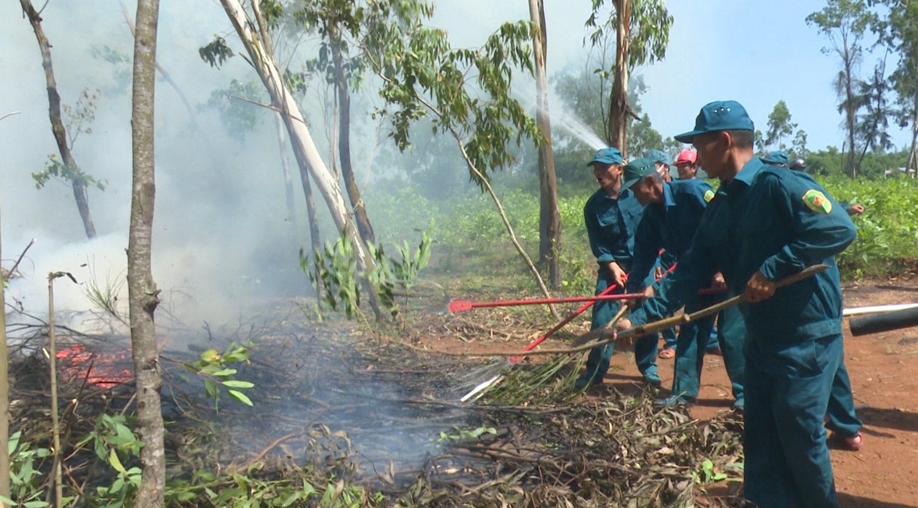 Diễn tập chữa cháy rừng tại xã Tịnh Hòa